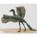 Archaeopteryx: una ricostruzione
