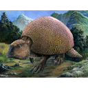 Ricostruzione del Glyptodonte